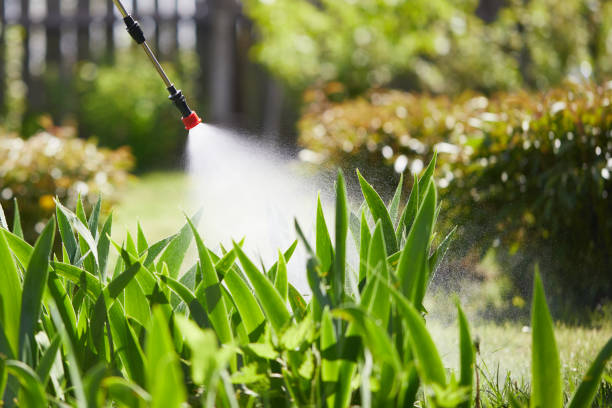 24/7 Emergency Termite Control experts in South Uniontown, PA