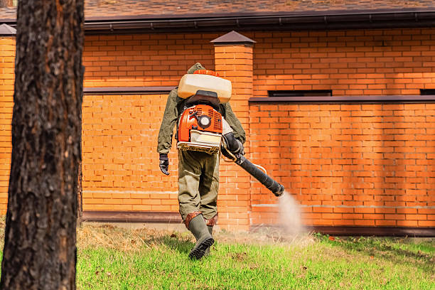 Trusted Bed Bug Control service in South Uniontown, PA - Nex Pest Control